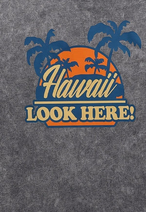 Hawaii t-shirt vintage poster print tee 90s retro top grey