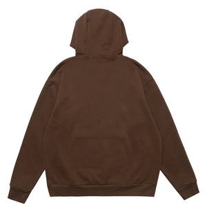 Dream boy slogan hoodie mountain print pullover retro landcape poster jumper in brown