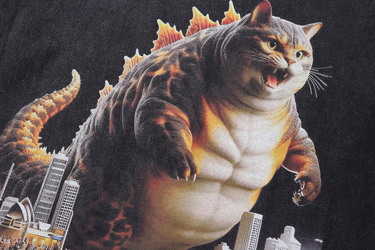 Sydney t-shirt cat print tee creepy cartoon top in vintage grey