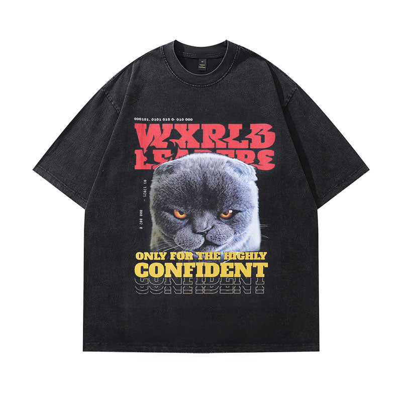 Angry cat t-shirt world leaders tee y2k cartoon top in vintage grey
