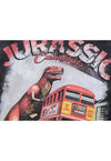 London bus t-shirt vintage wash dinosaur top long tee grey