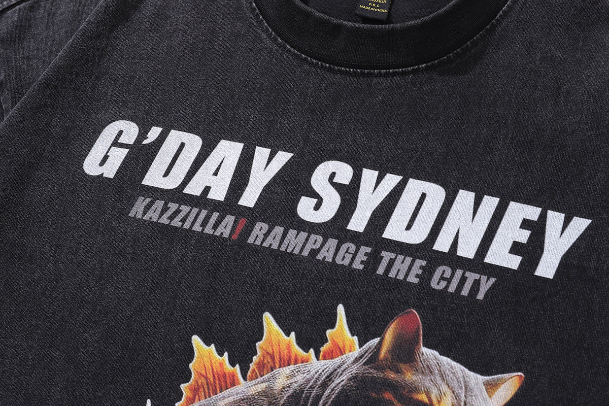 Sydney t-shirt cat print tee creepy cartoon top in vintage grey