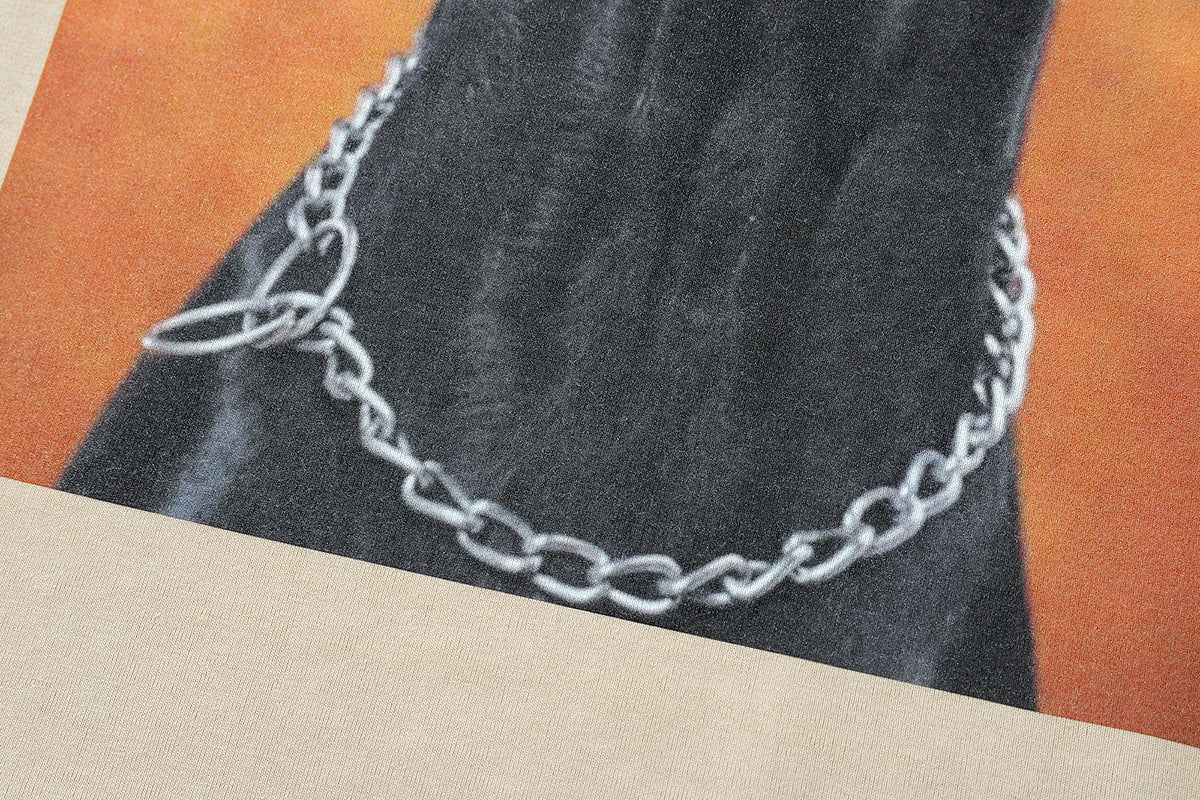 Hungry Doberman t-shirt pinscher print tee retro dog top in grey