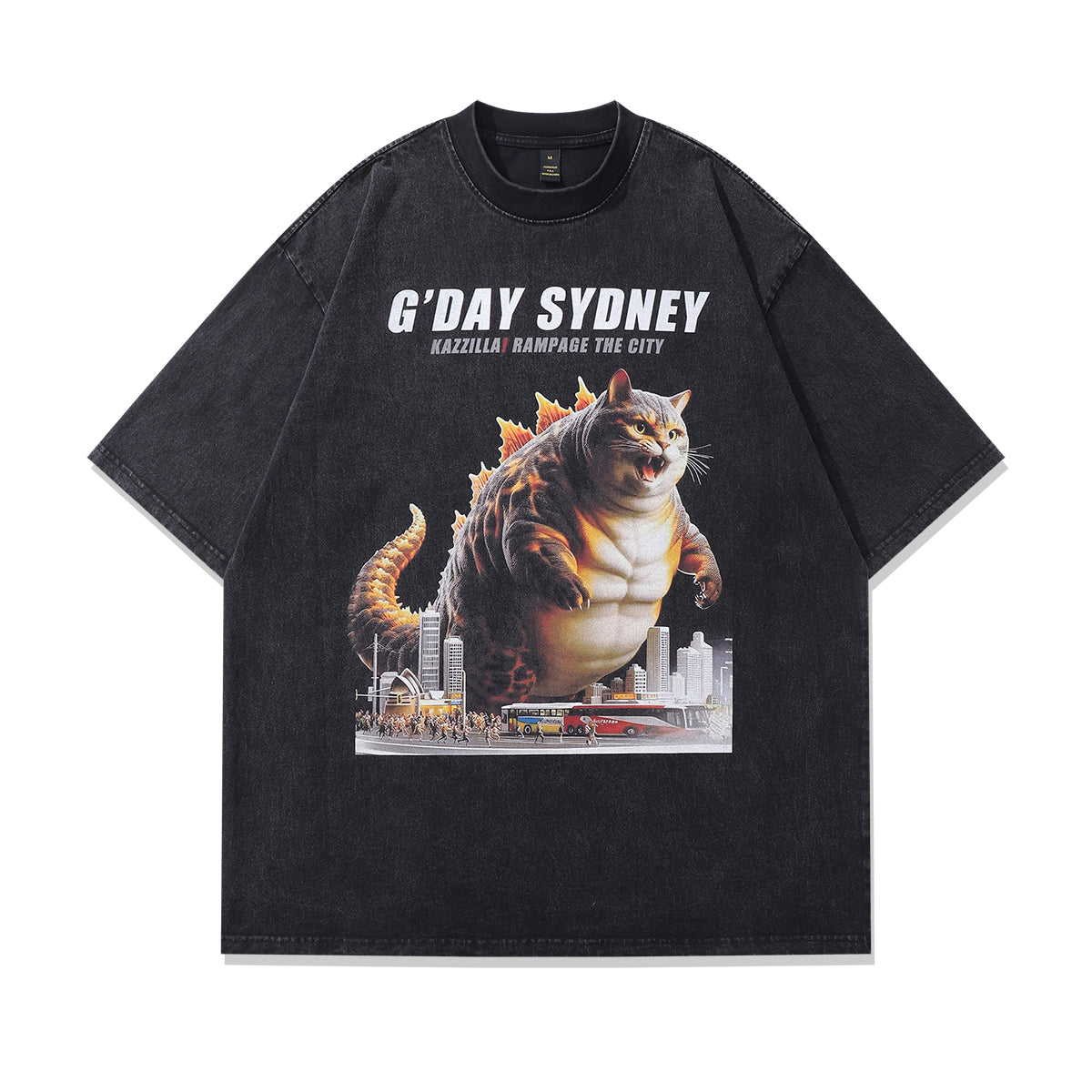 Sydney t-shirt cat print tee creepy cartoon top in vintage grey